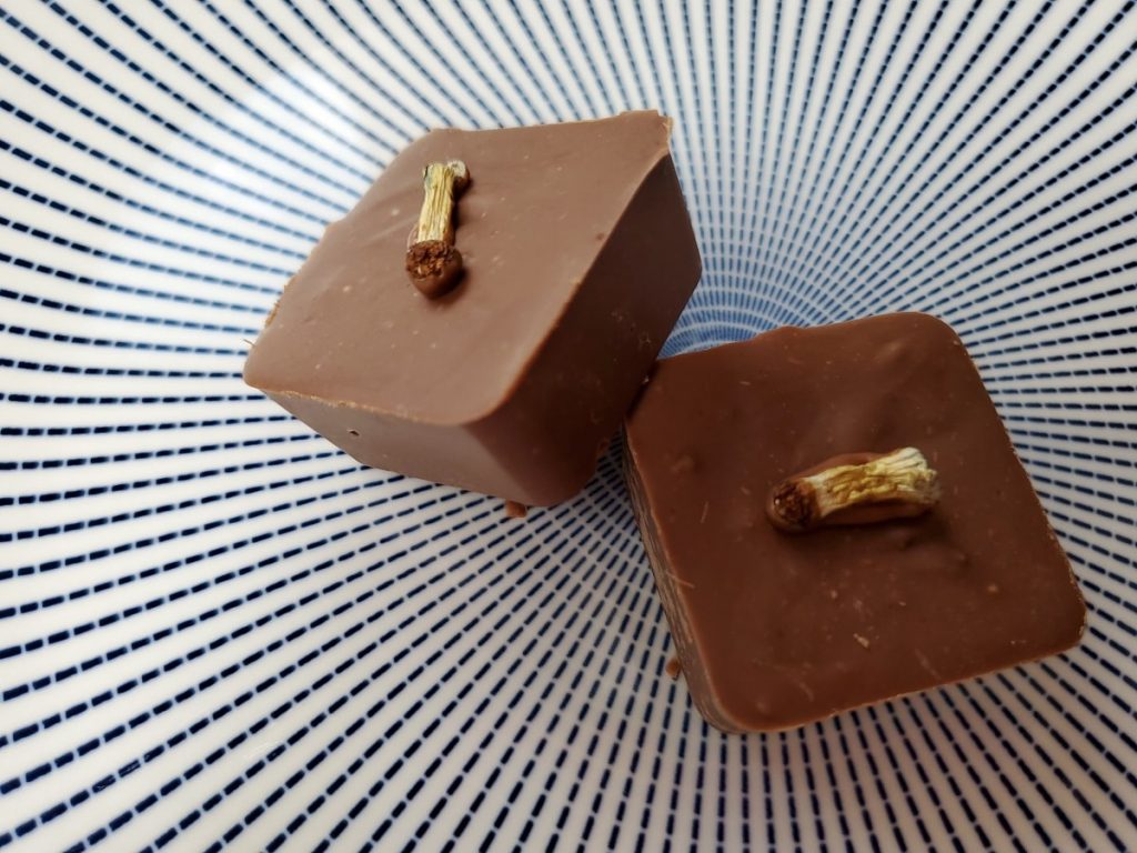 Decadence and Discovery: Diving into the World of Magic Mushroom Chocolate